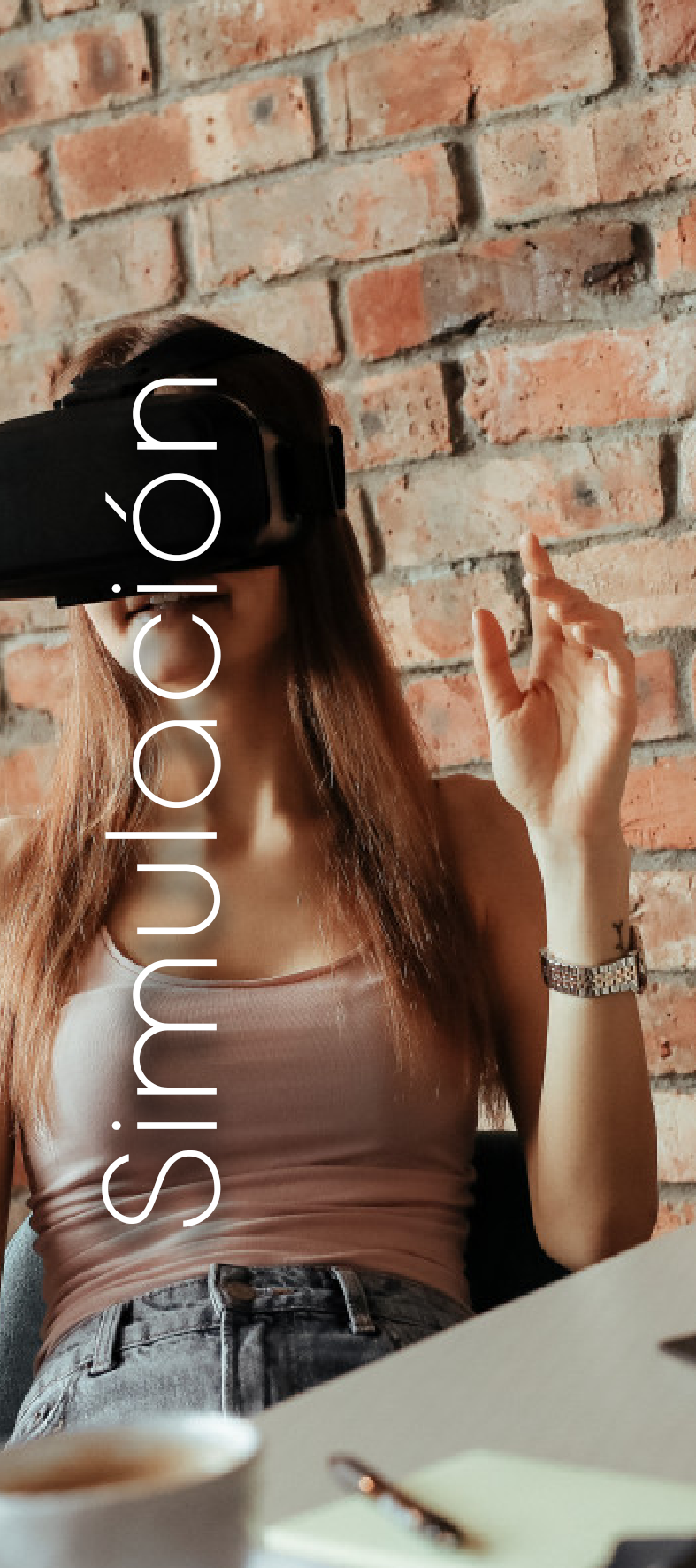 Sistema Educativo para el Emprendimiento: Táctica